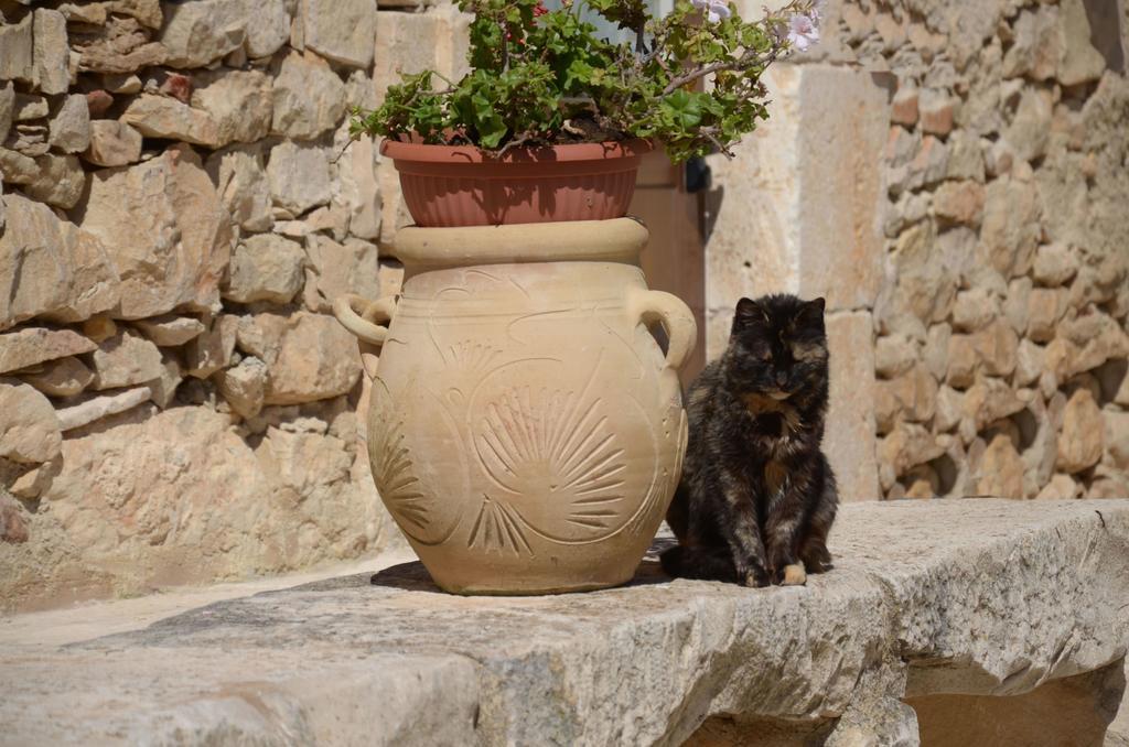 Gasthaus Casina Di Grotta Di Ferro Santa Croce Camerina Exterior foto